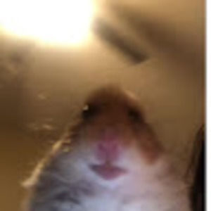 Meet your Posher, Tamer